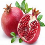 Pomegranate Seed Oil - Punica granatum 石榴籽精油